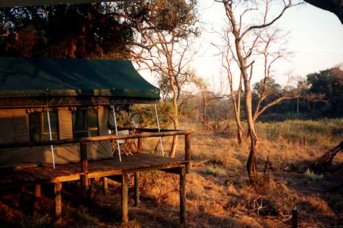 karongwe Bush Bush01
